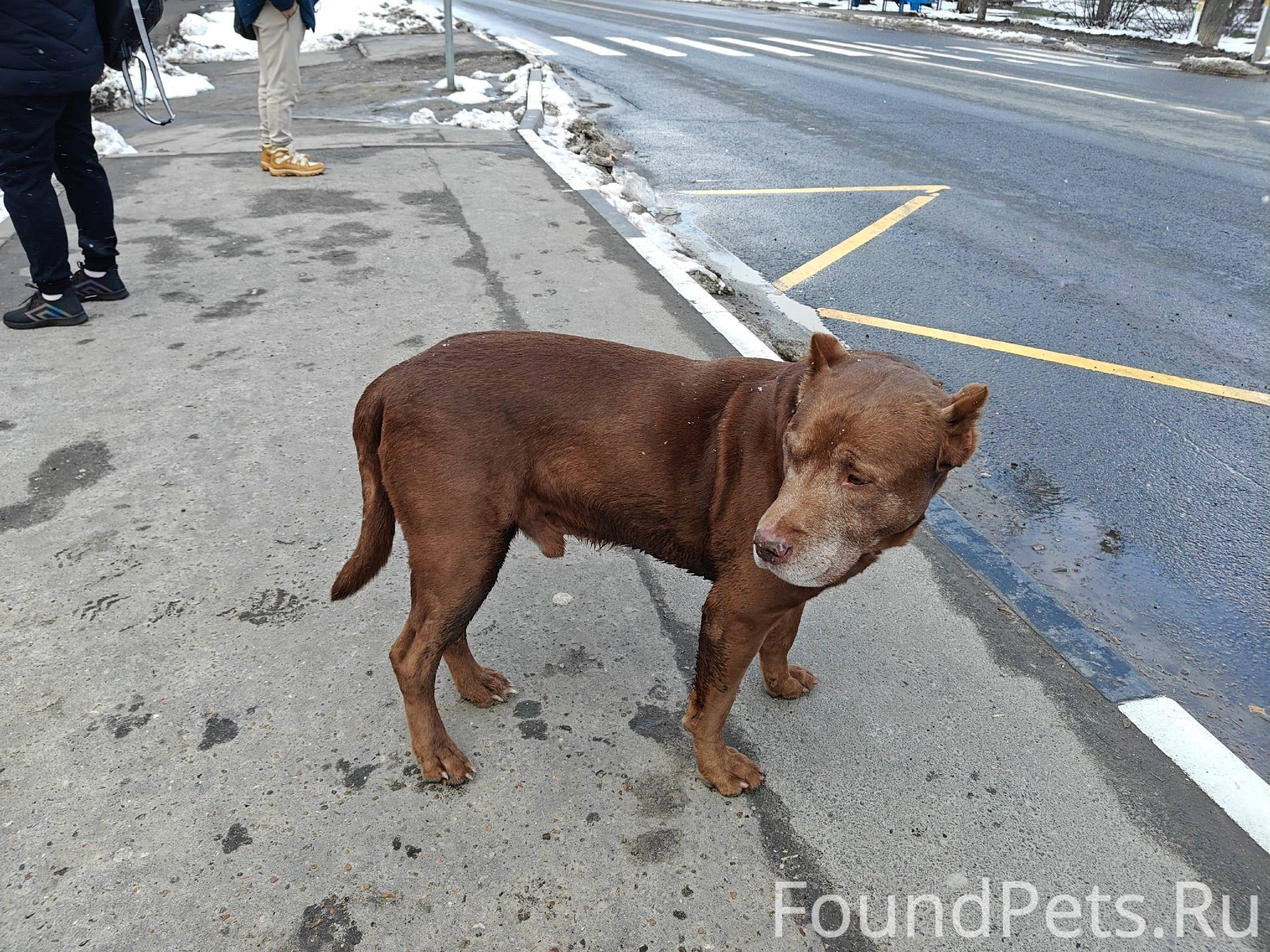 В районе Фубров у остановки и....