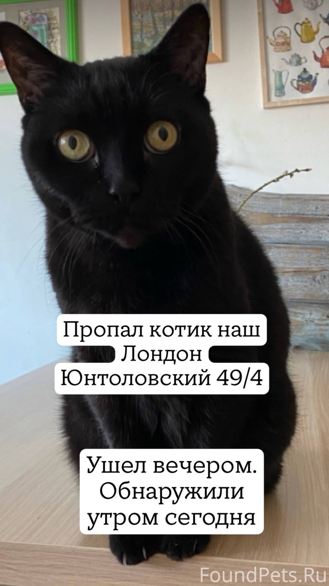 СПб жк Юнтолово Юнтоловский пр...