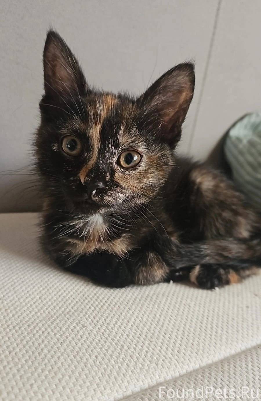 ПОМОГАЮ ИНФОРМАЦИОНО,Здравству...