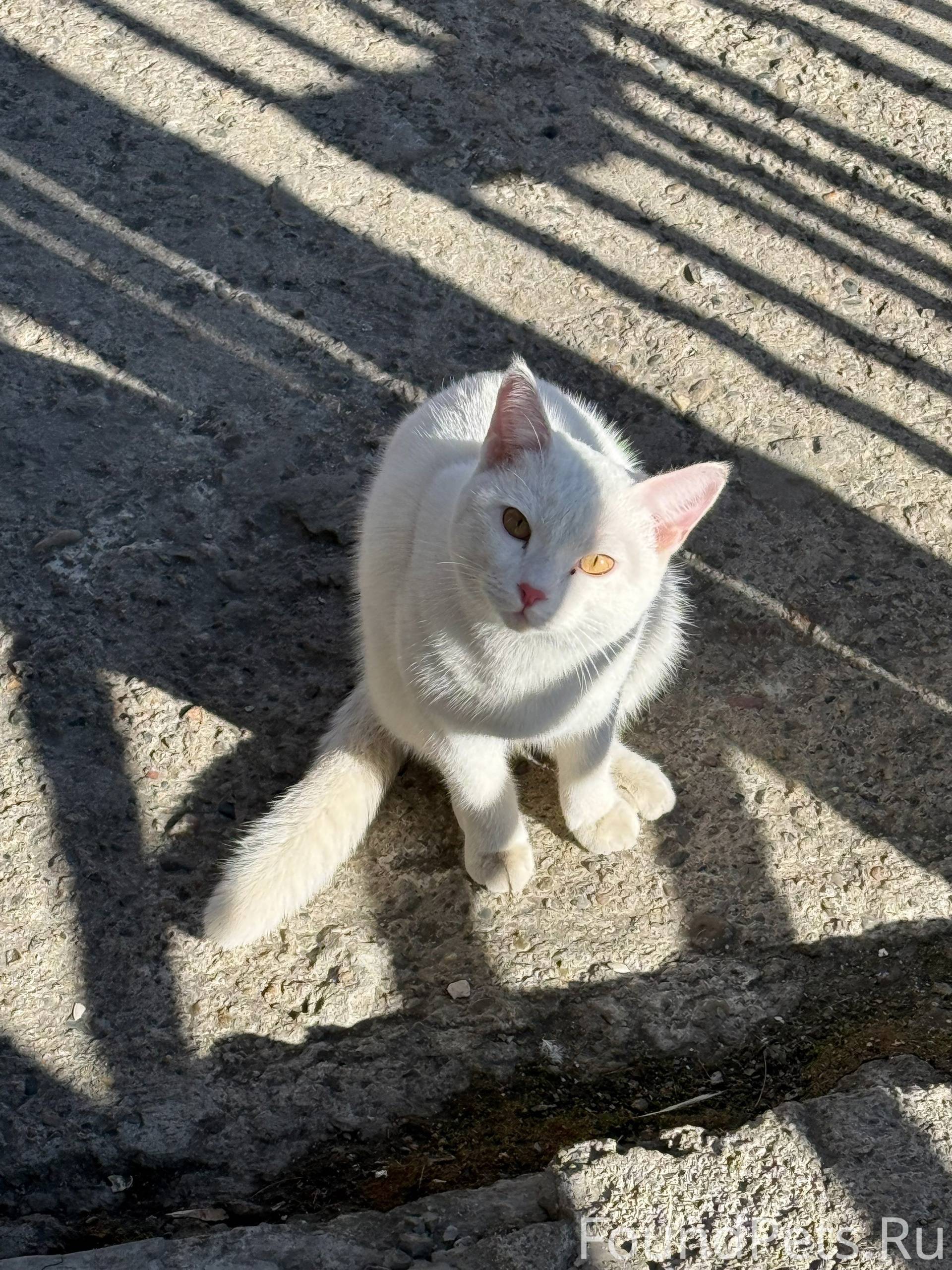 Бульвар строителей 12 сидит ко...