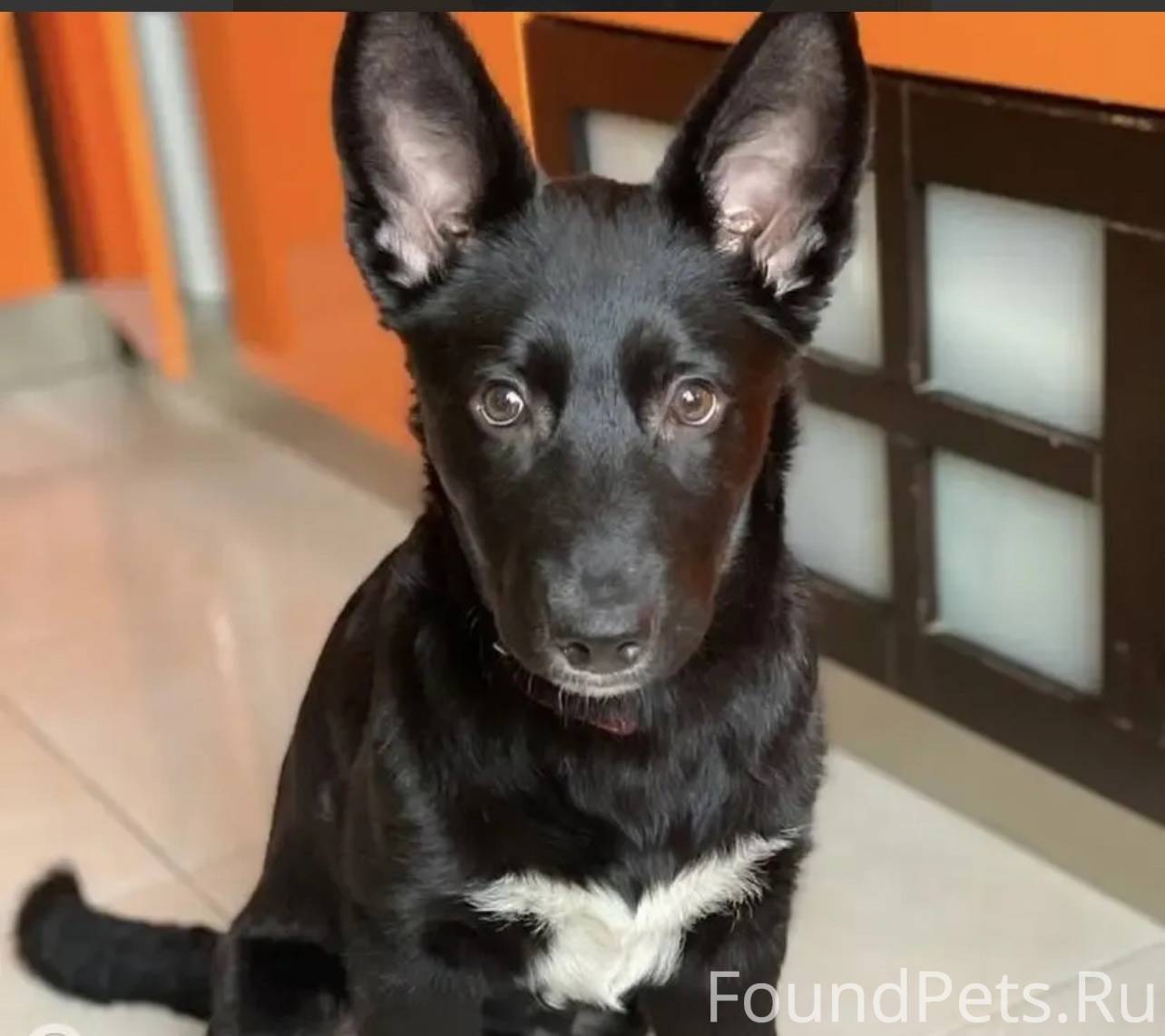 Санкт-Петербург, Московский ра...