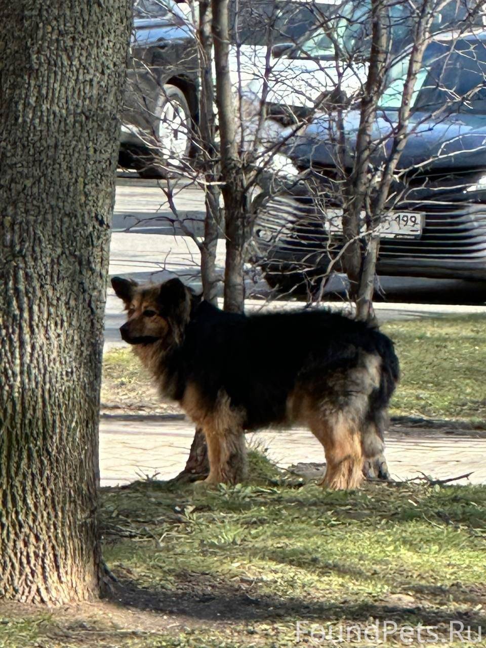 Гагаринский район, Ленинский п...