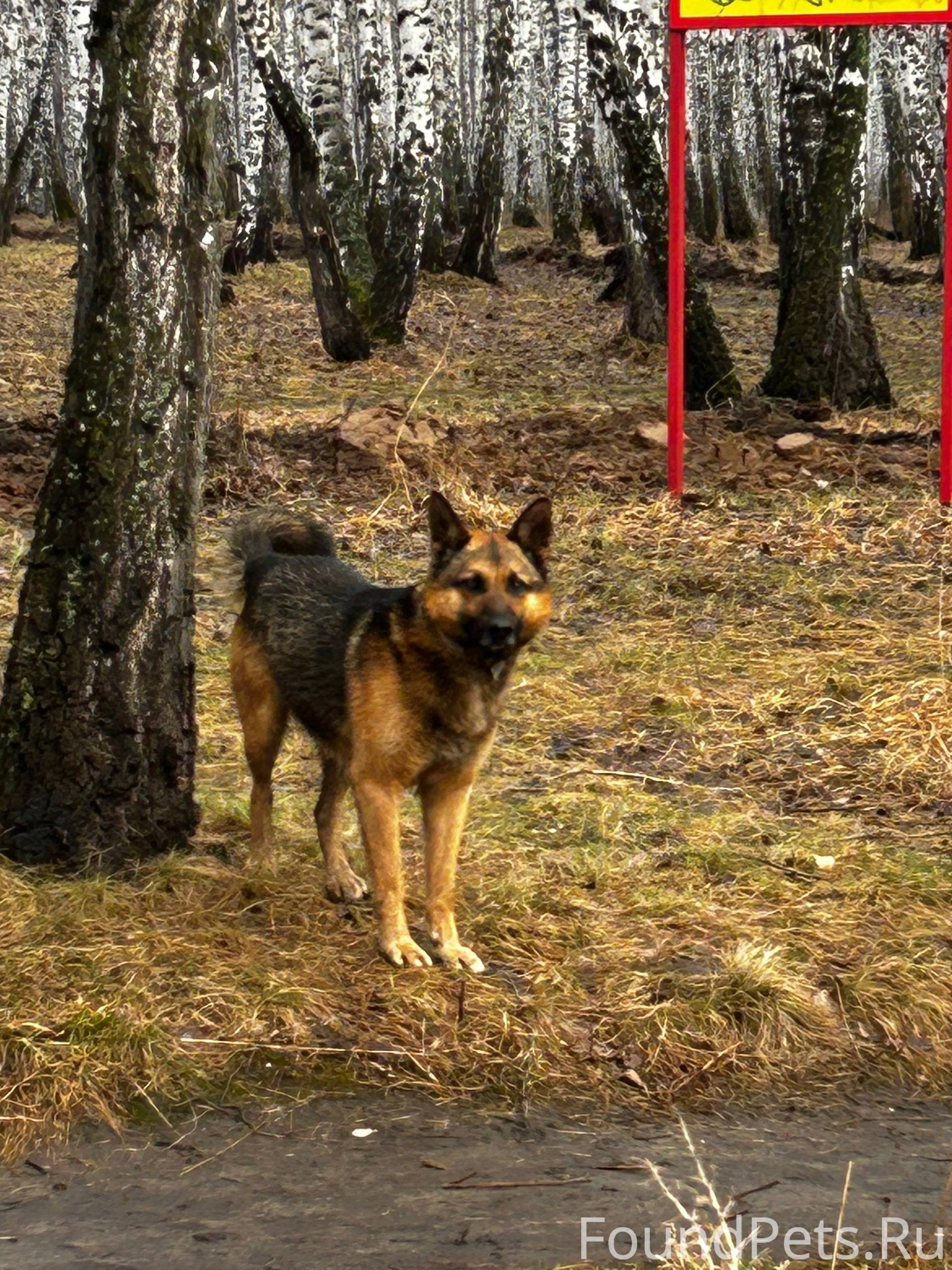Здравствуйте. Не первый день э...