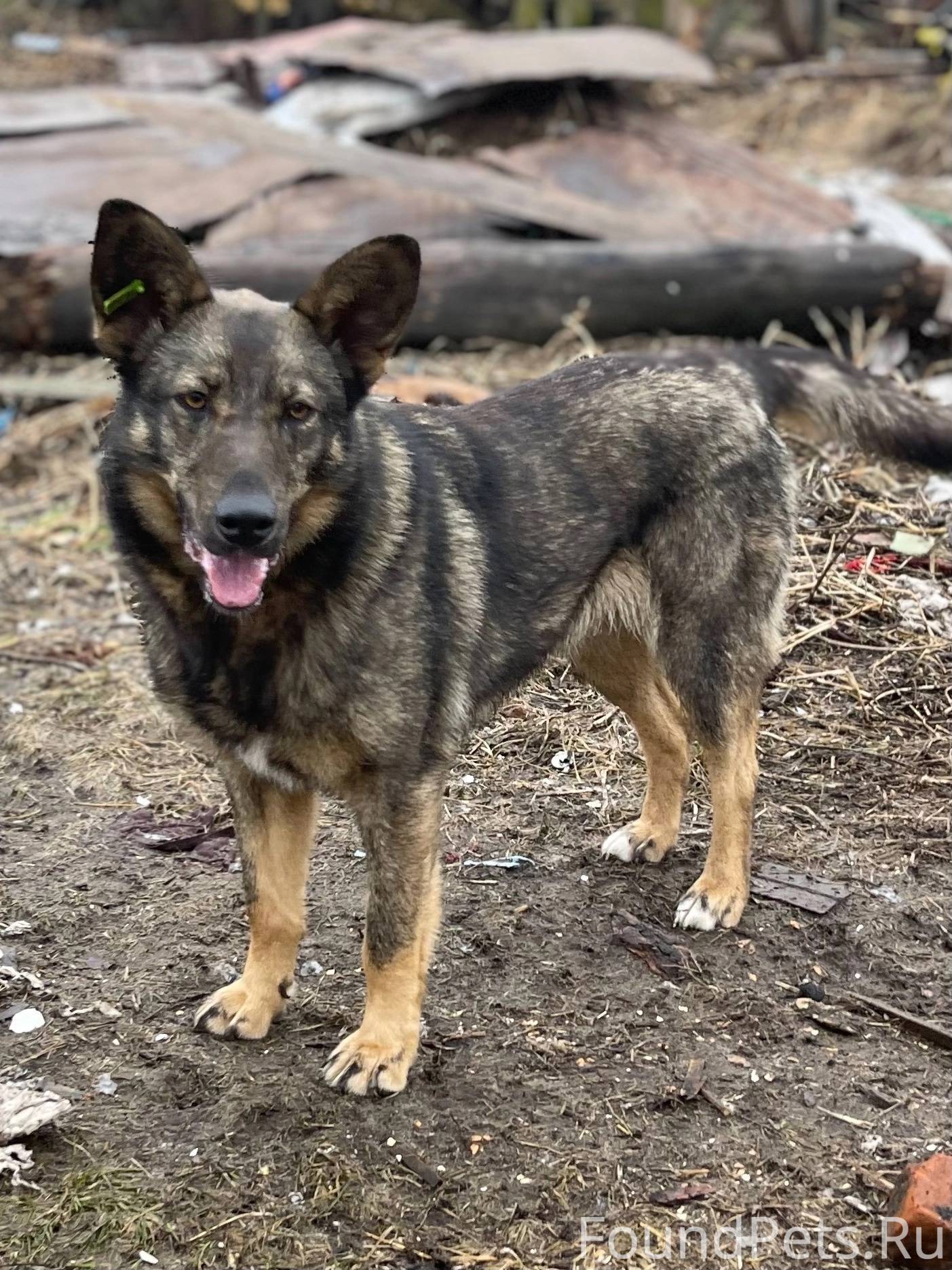 ⚠️Нижегородская обл. 🍀🍀🍀🍀Найде...