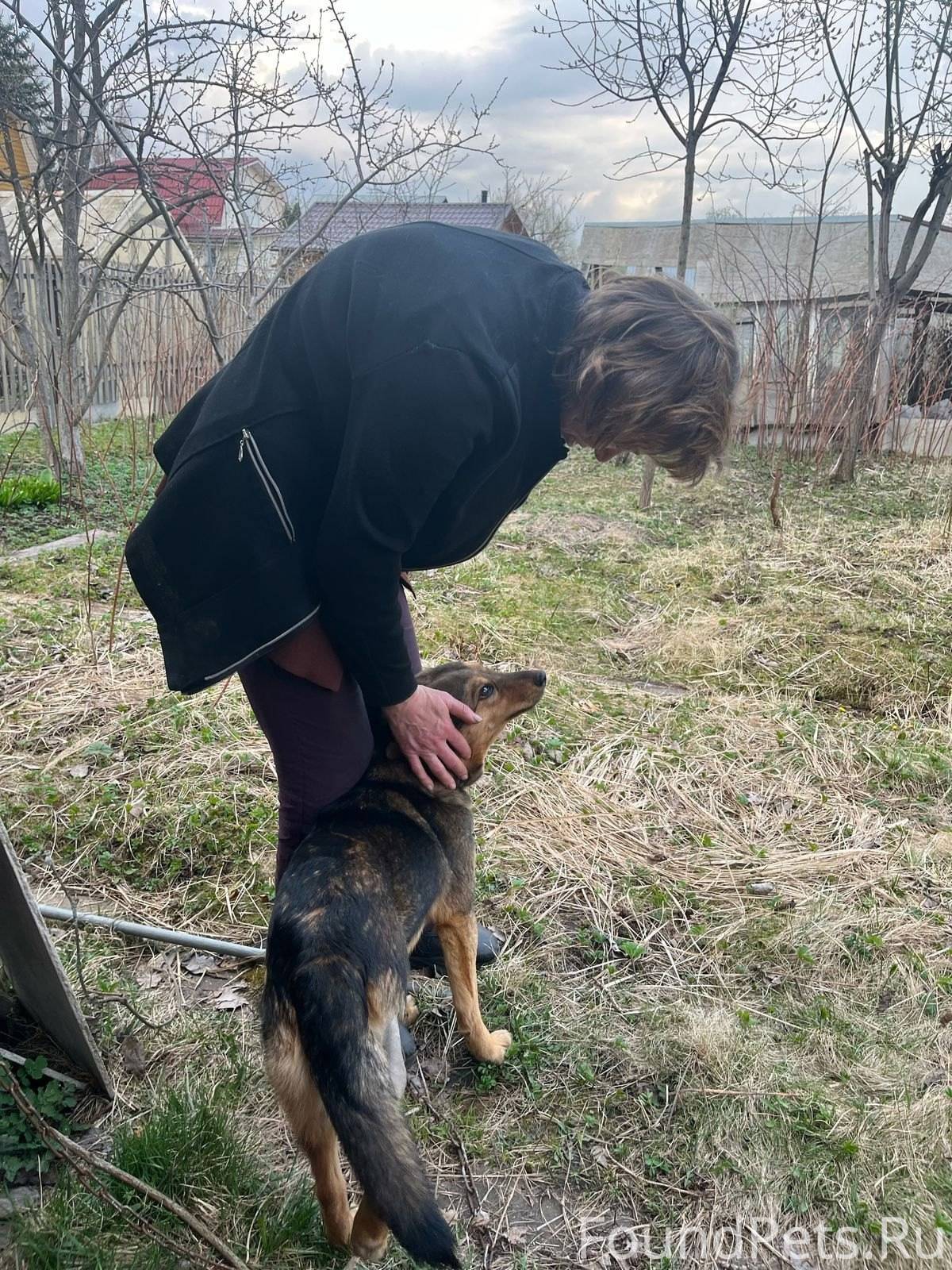 **Ищет дом добрый и ласковый п...