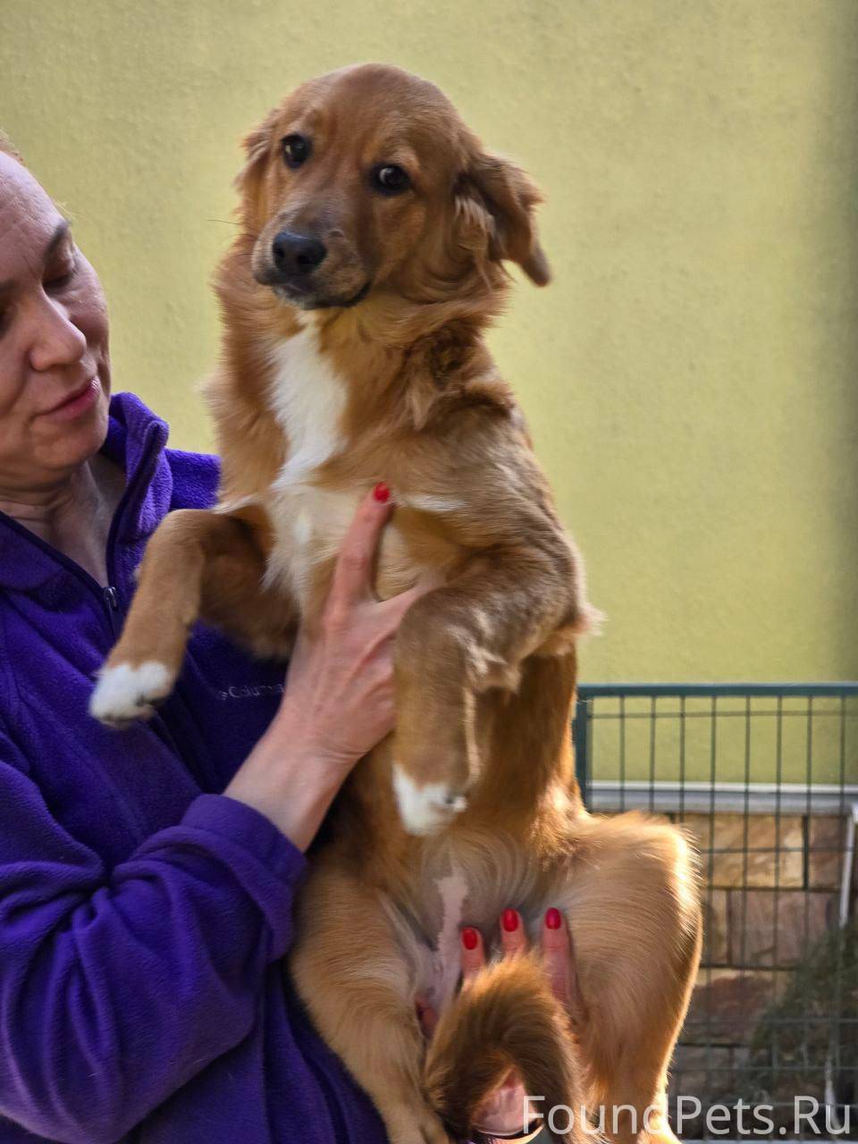 ‼️‼️Москва! Питер!‼️‼️ Приближ...