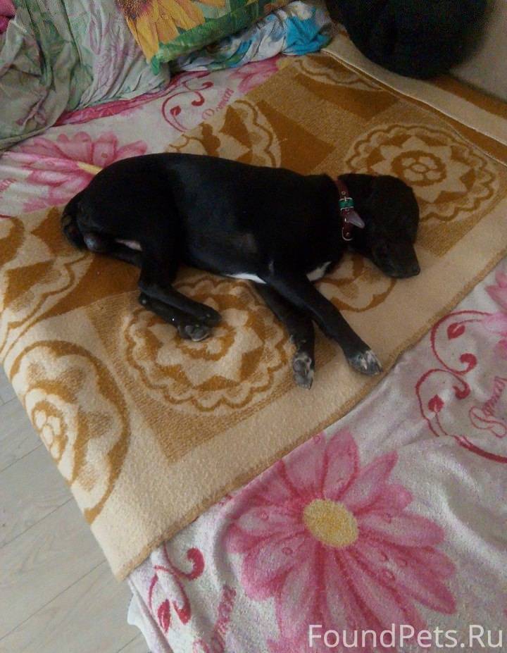 Срочно репост!!!! Город Новотр...