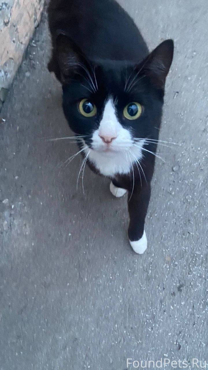 Добрый времени суток,пропала к...