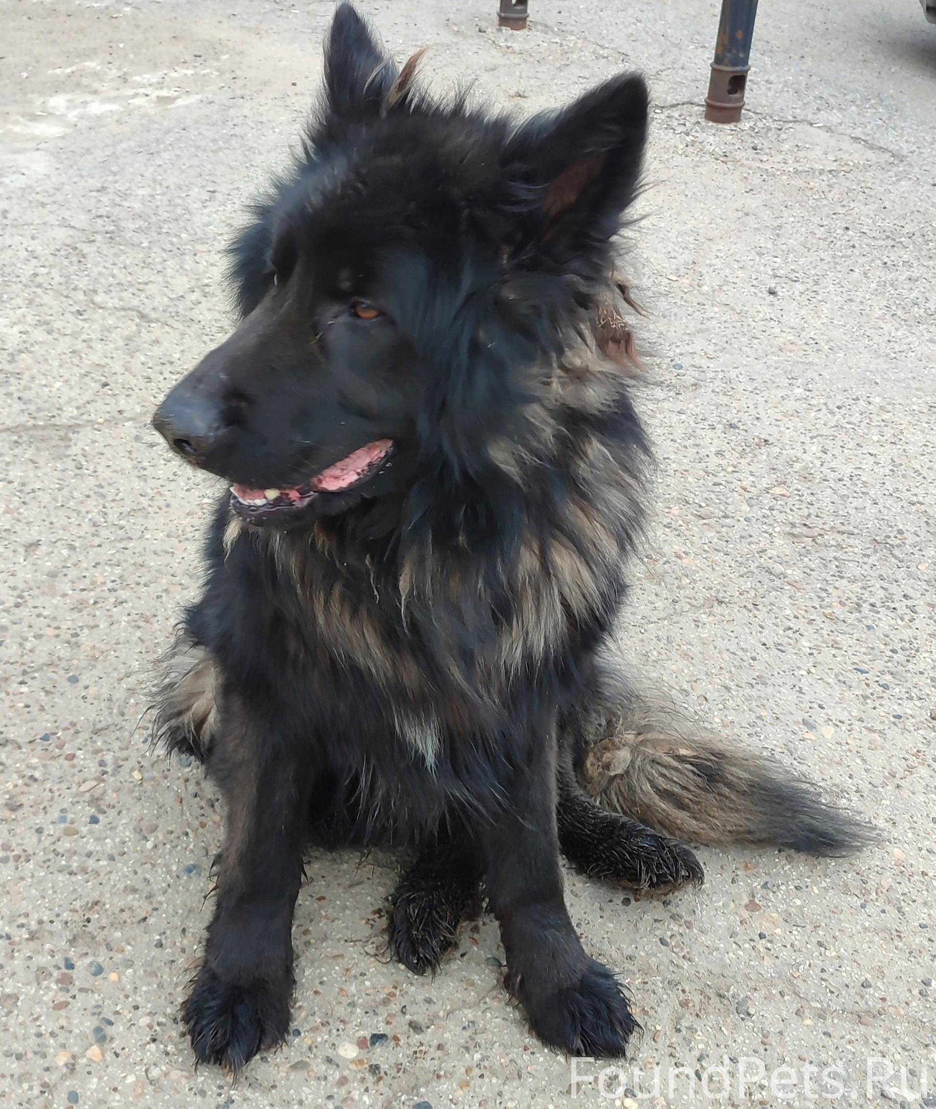 💥💥💥ДРУЗЬЯ, МАКСИМАЛЬНЫЙ РЕПОСТ...