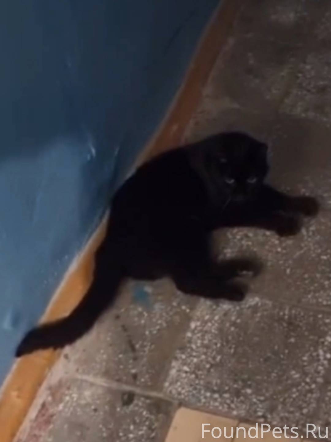 На Затулинке в одном из подъез...