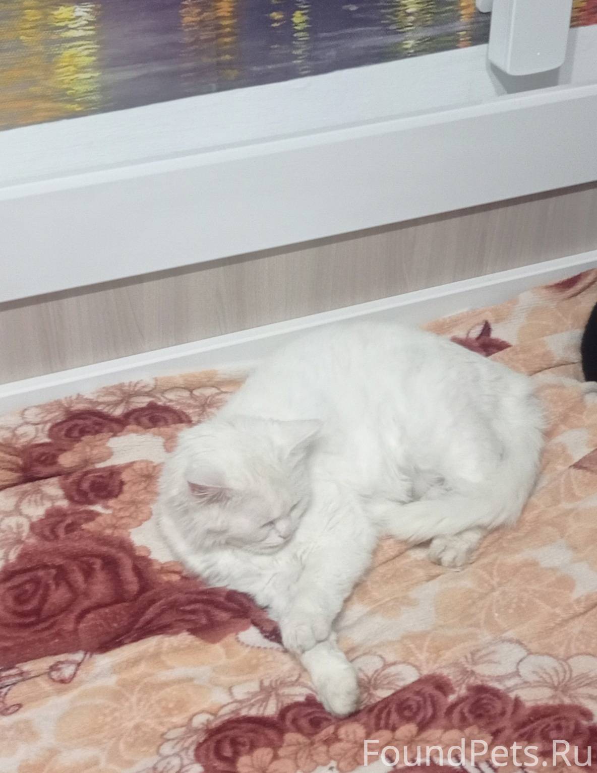 Сегодня 4 . 04.25. В конце...