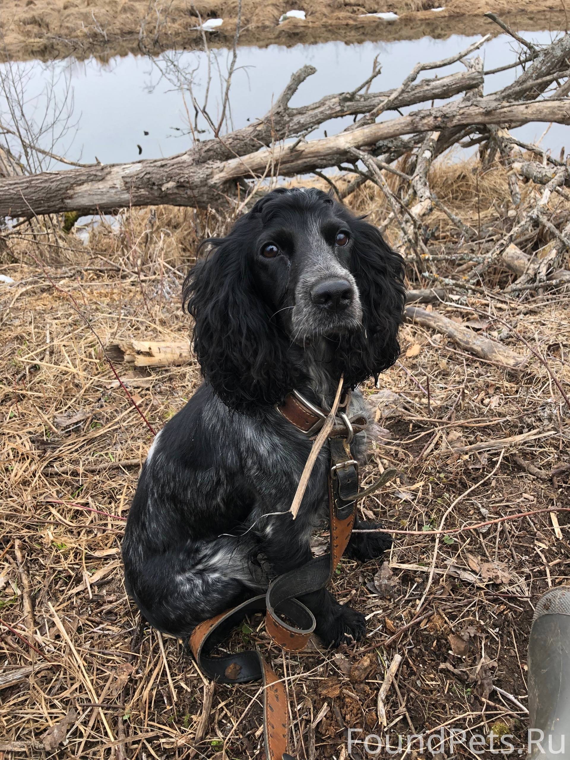 04.04.25 в 18.00...