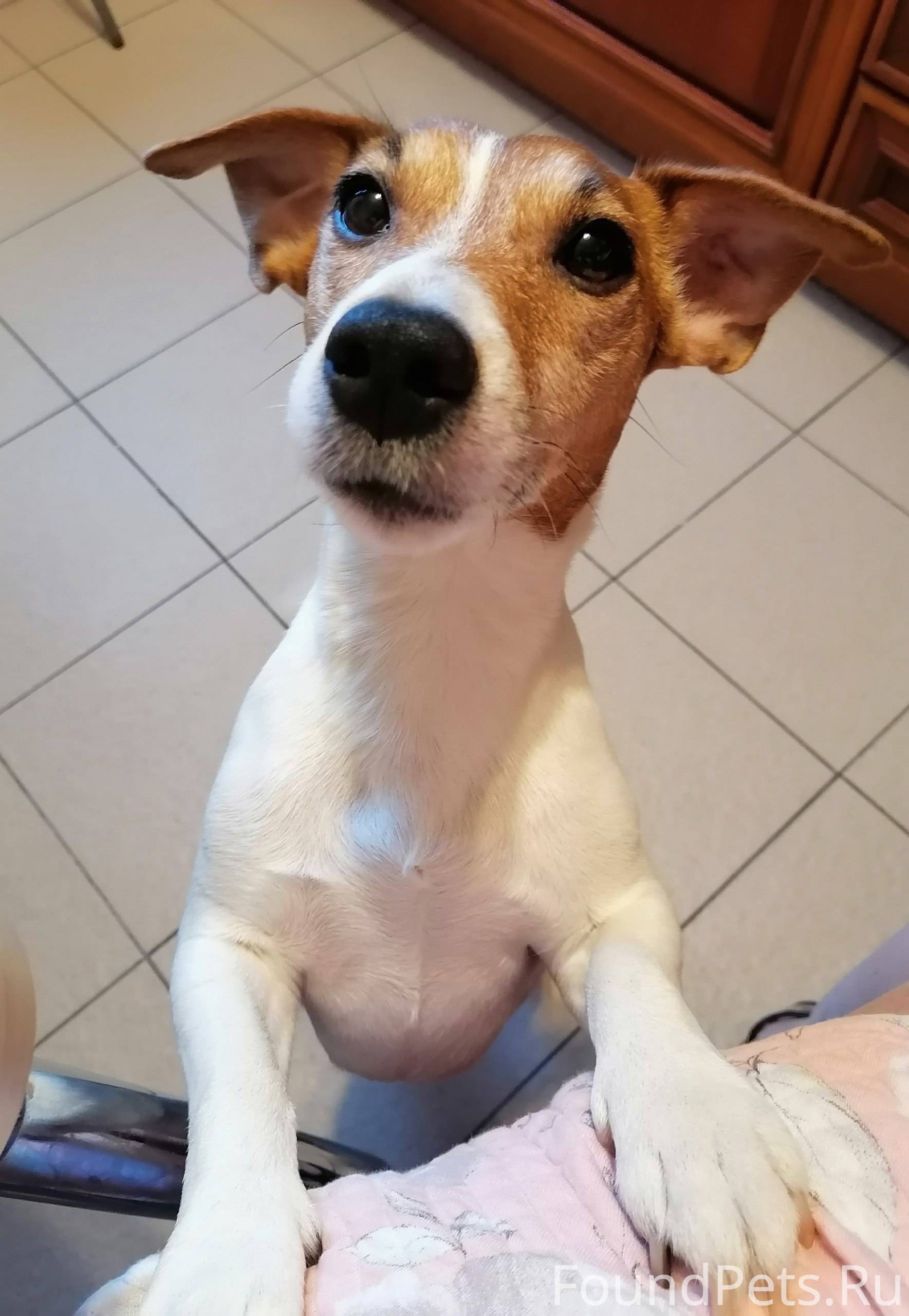 ВНИМАНИЕ! ПРОПАЛ КАСПЕР! Вышел...