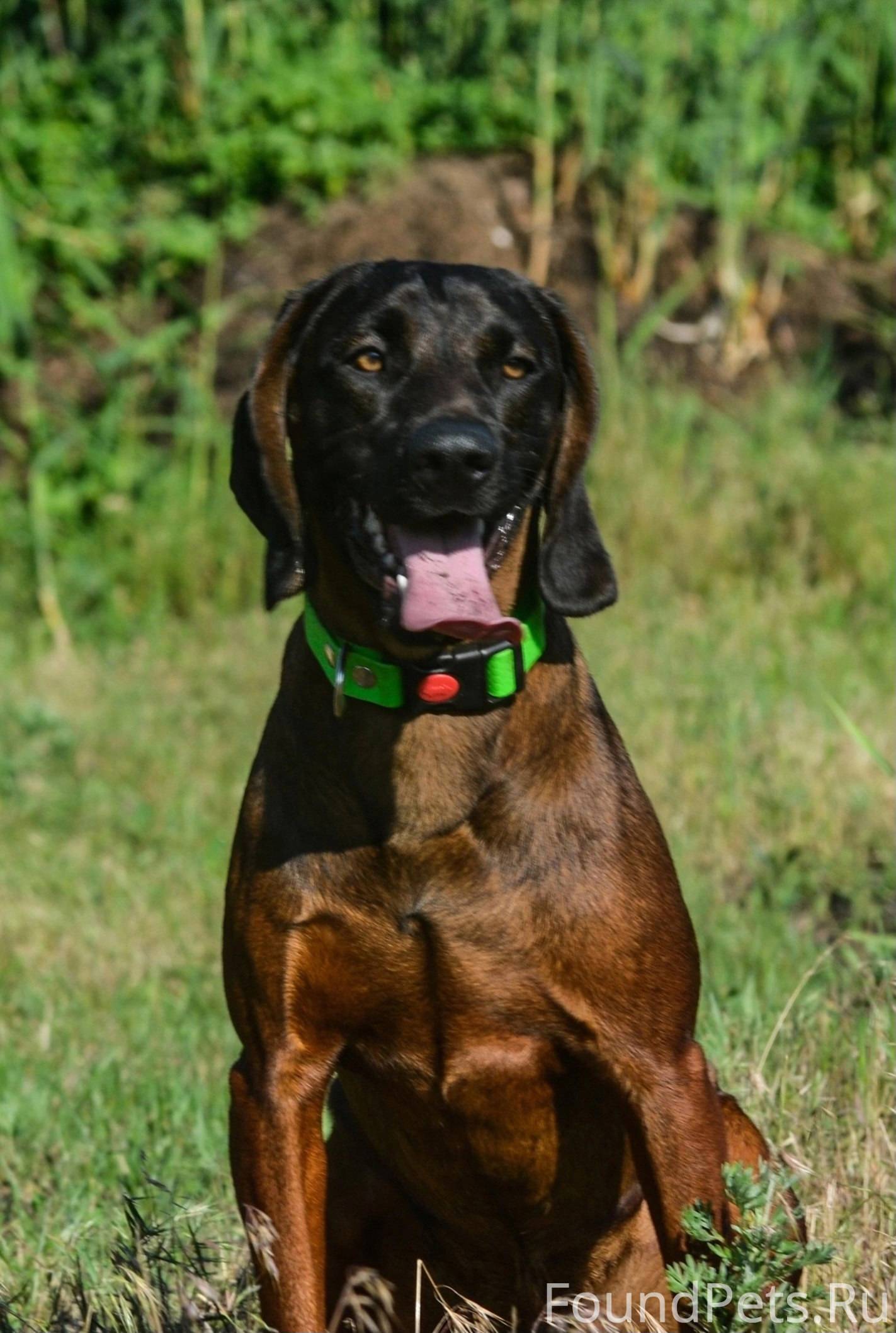 Обращаемся ко всем❗️❗️❗️❗️ Сро...