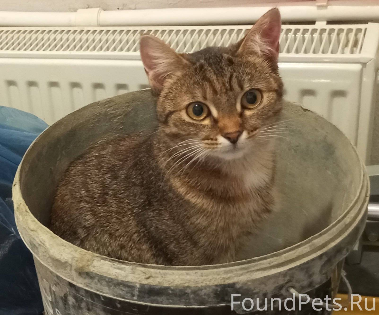 Помогите найти пропажу 🙏 Пропа...