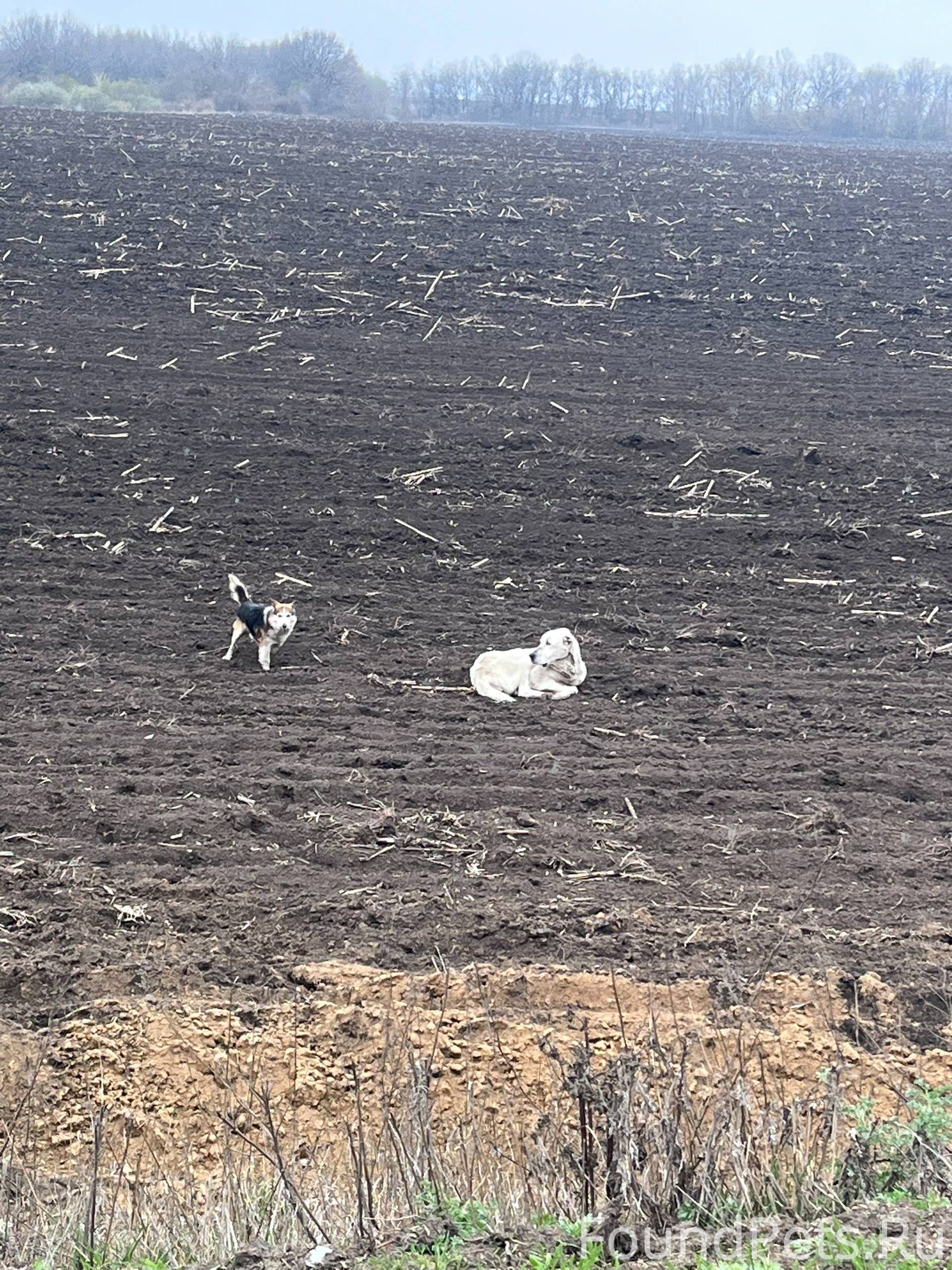В медвенском районе найдены 2 ...