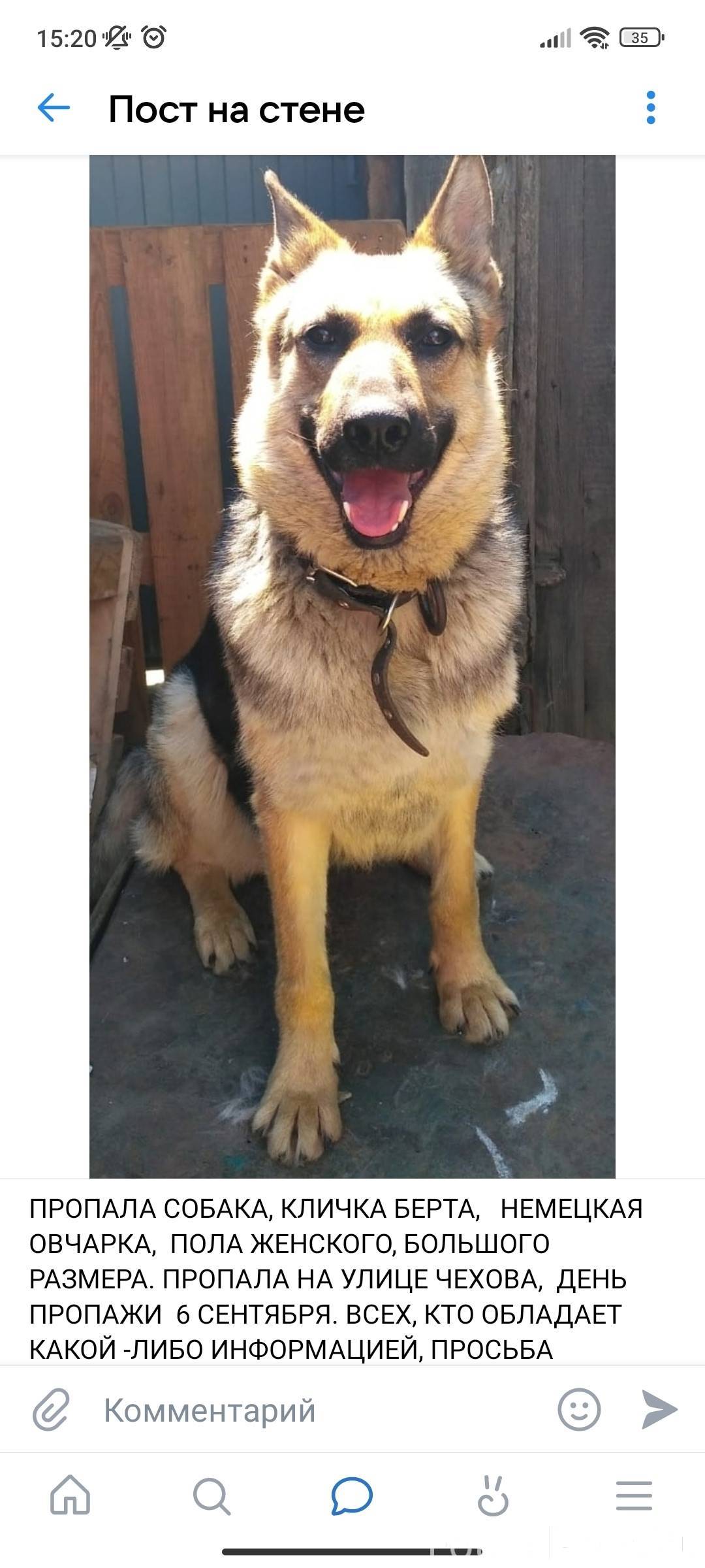 Пропала собака. Ушла с улицы Ч...