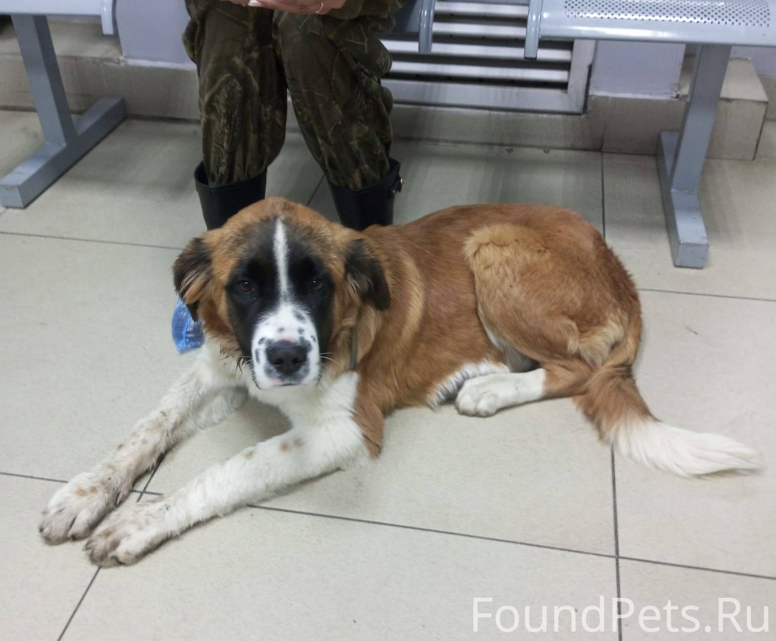 Сейчас на комсомольской 40, де...