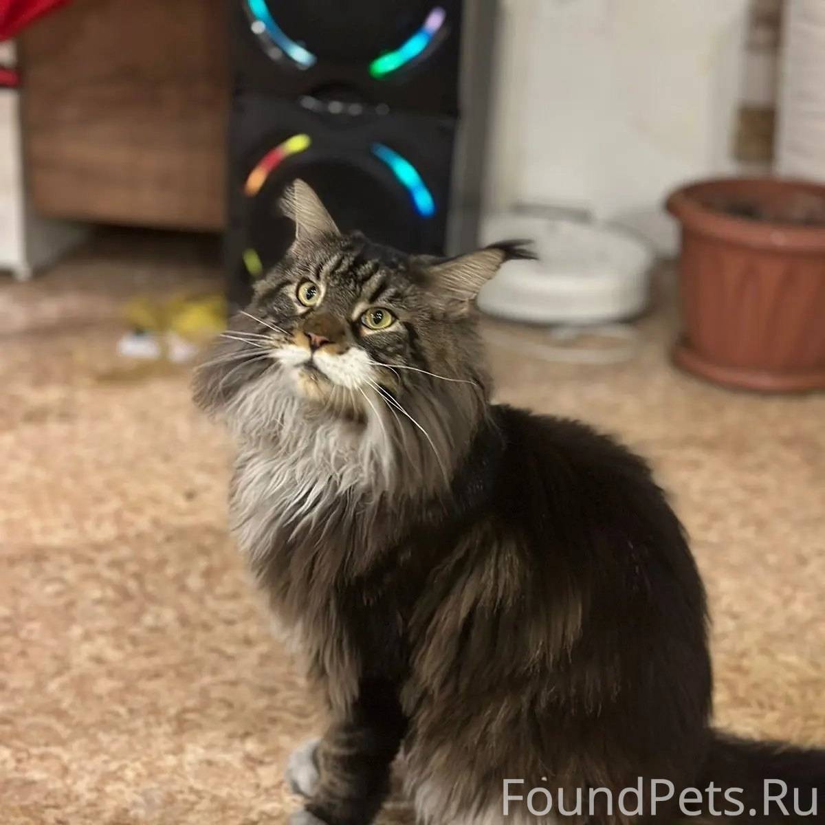 🍁МИНУСИНСК🍁 Внимание❗️❗️❗️ Про...