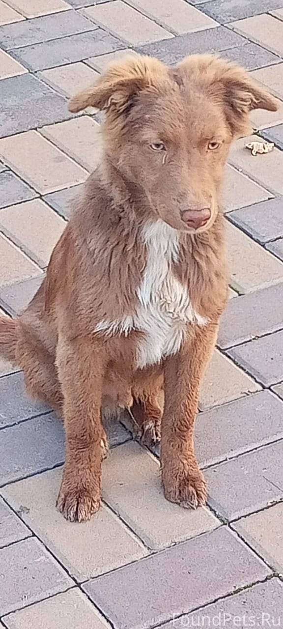 SOS!!! Чей потеряшка? Ребенок ...