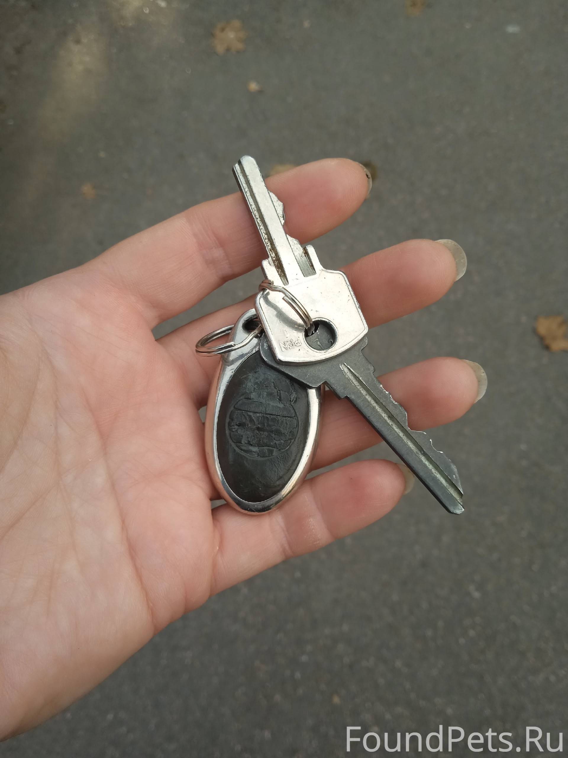 Чья потеряшка? Найдены на улиц...