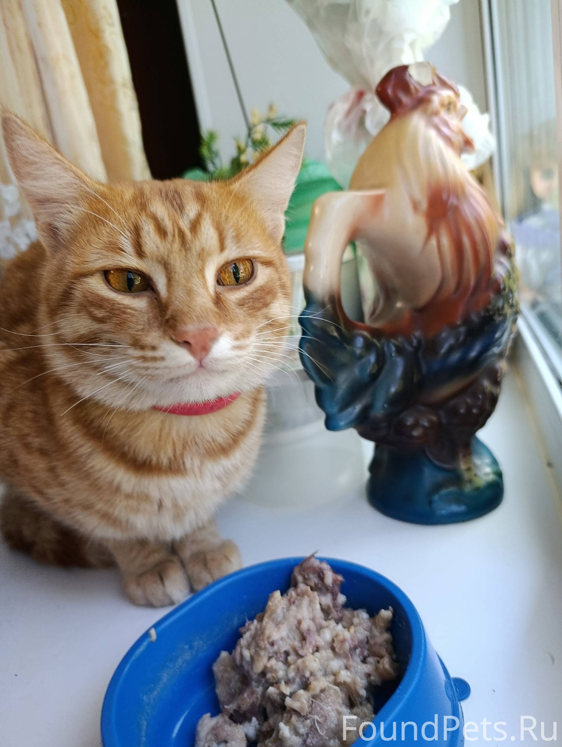 SOS!!вчера 15 сентября ехали с...