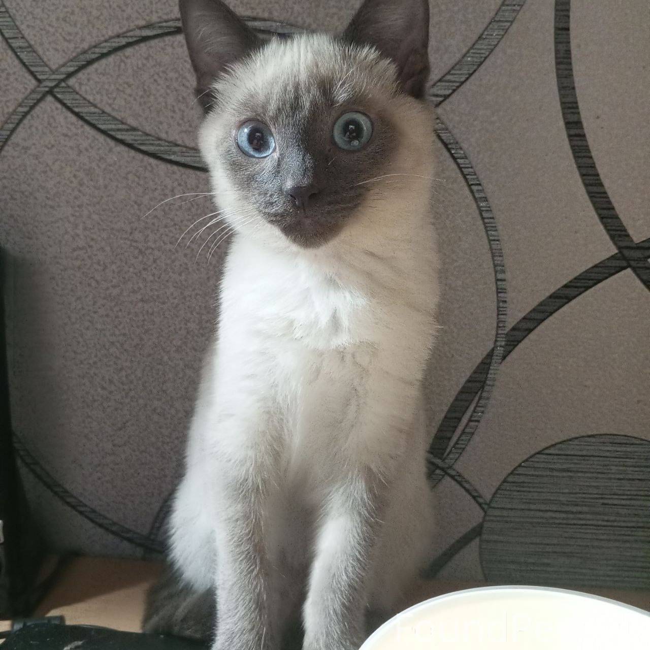 Объявление от участника группы...