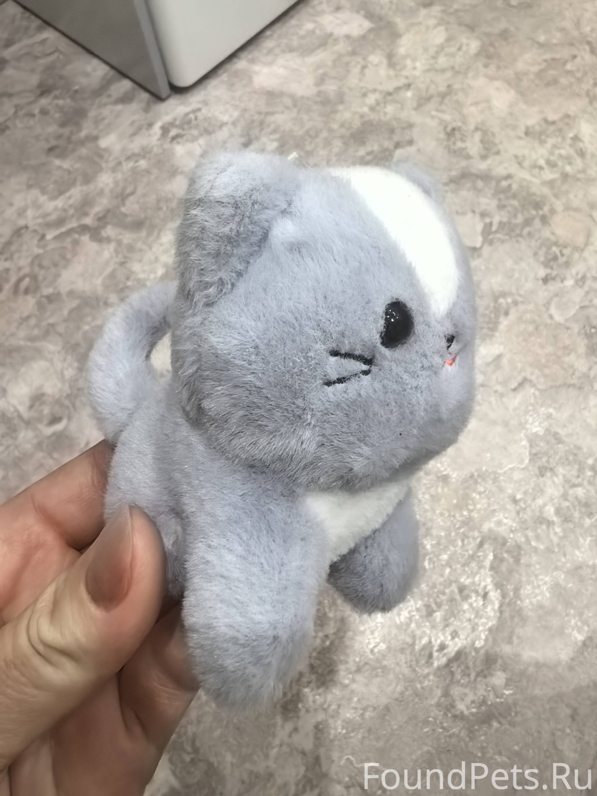 Чей потеряшка? Ребёнок нашёл п...