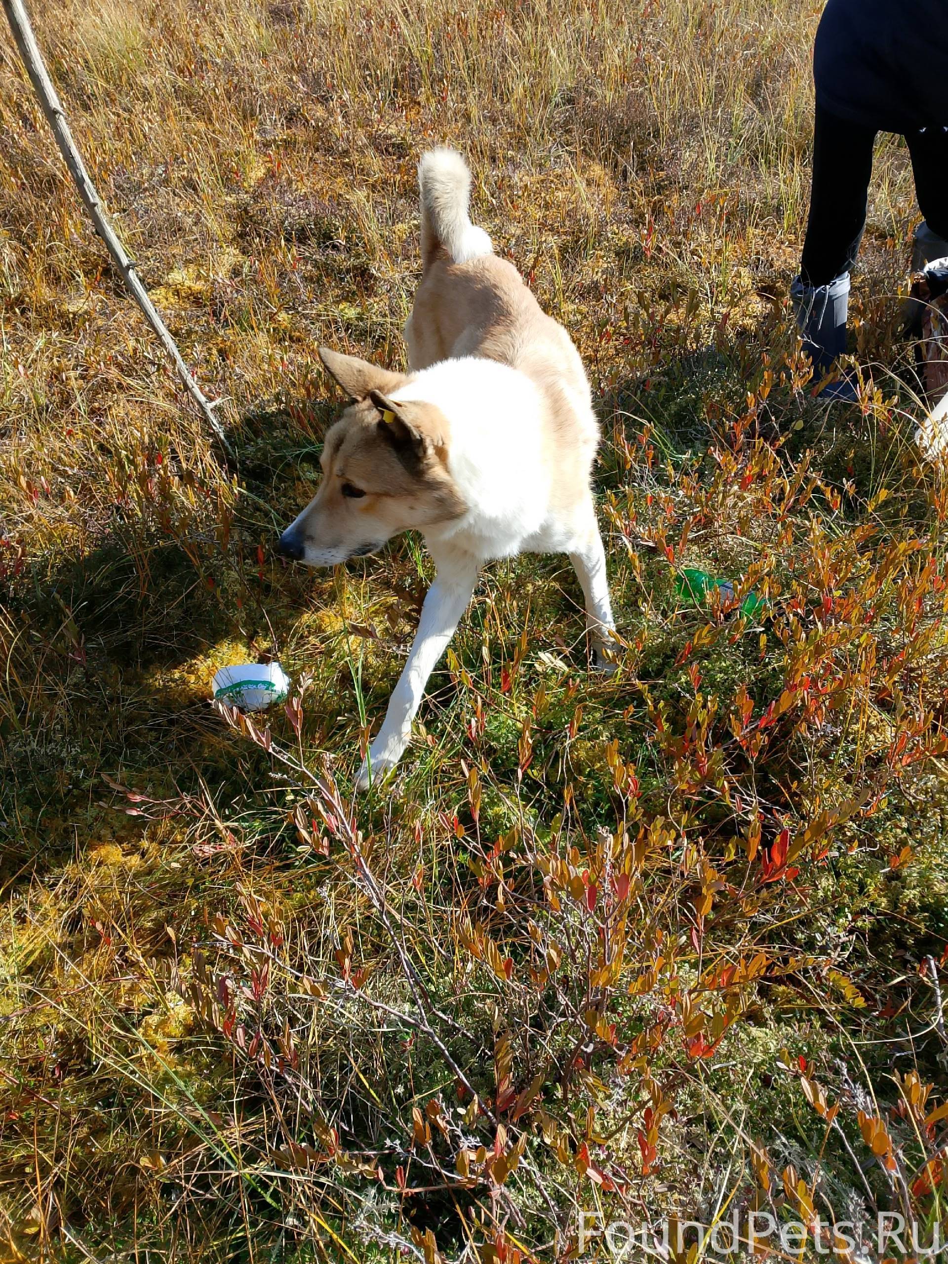 На Чистом озере уже 2 дня...