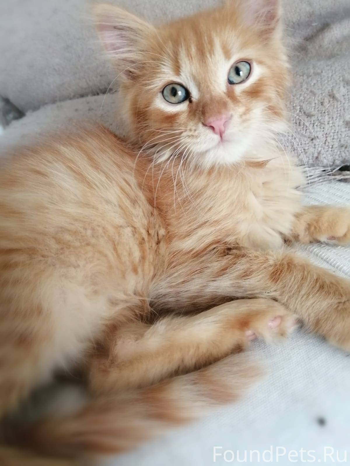 Не думала, что когда-нибудь пр...