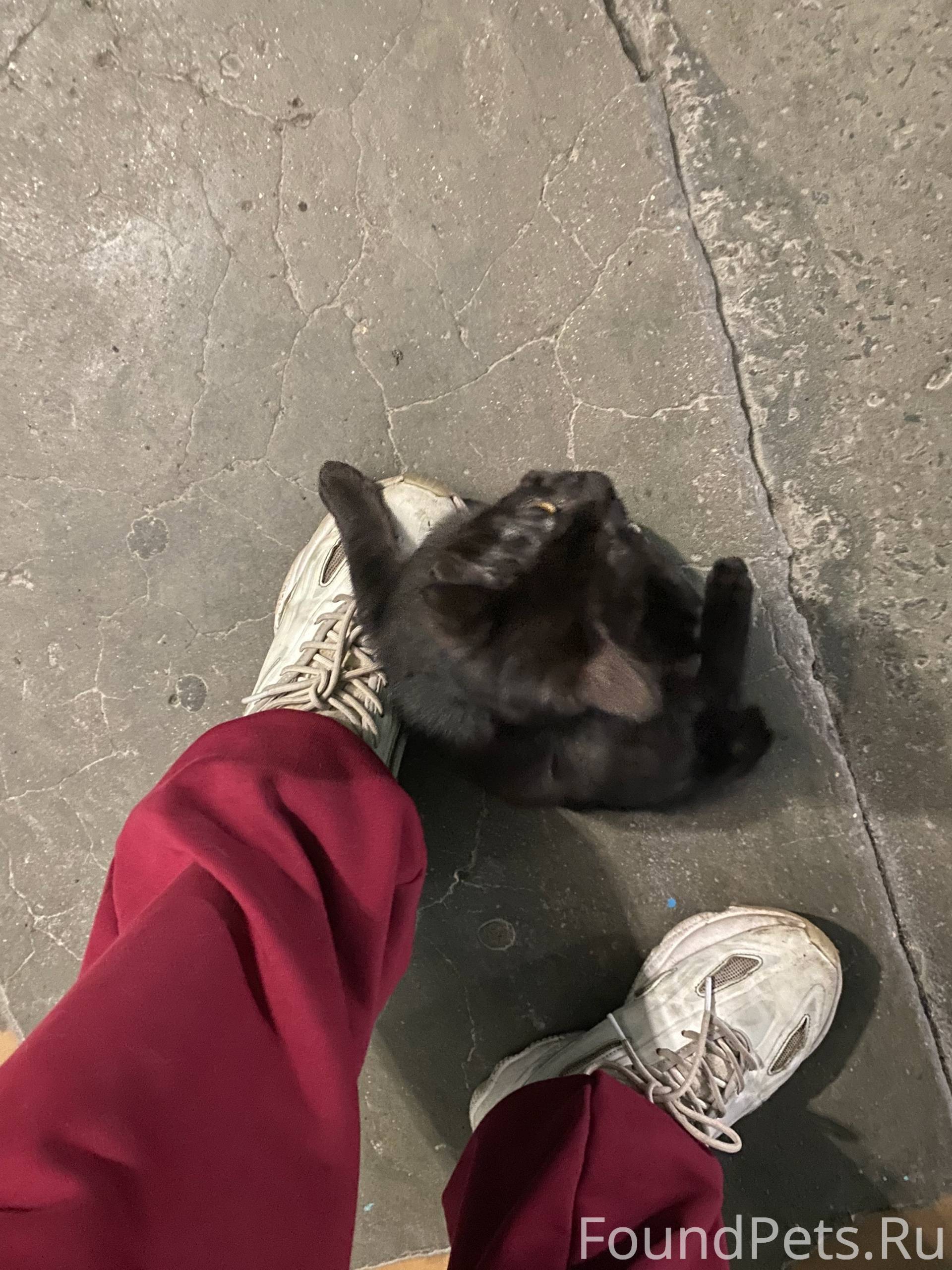 20.09 в подъезде дома Бумажник...