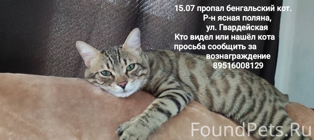 Продолжаем искать! Пропал 15 и...