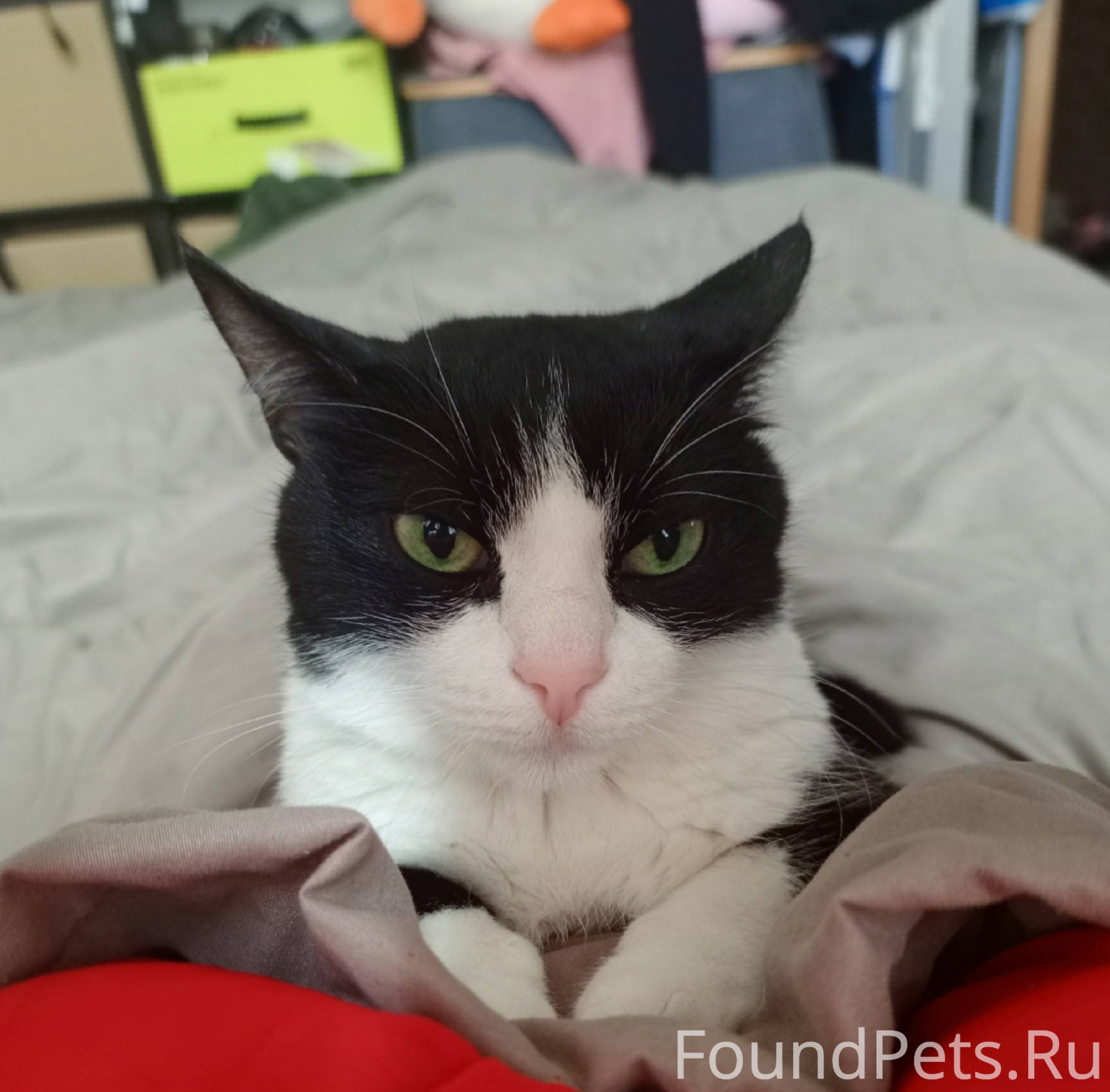 Срочно! ночью 24 сентября проп...