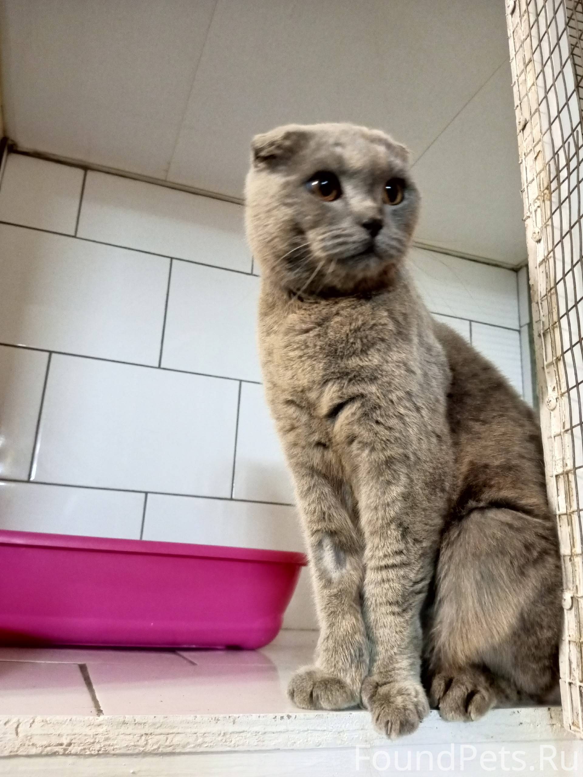 🆘🚨SOS! Г. Воскресенск Моск.обл...