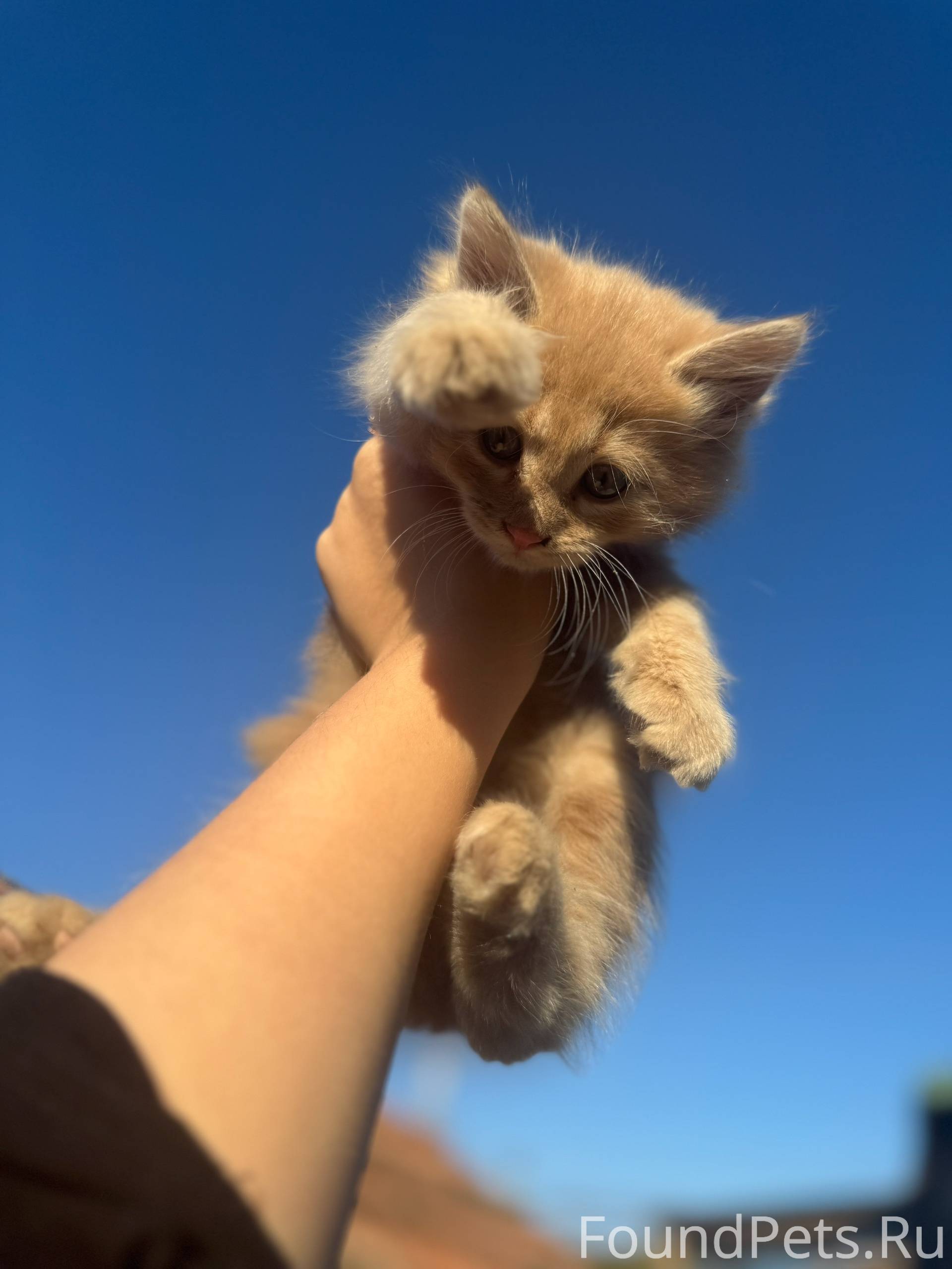 ИЩЕМ ДОМ❗️❗️❗️ Крым❗️ Этот ком...