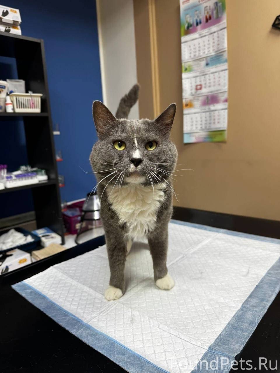 Думаю, многие из вас видели пр...