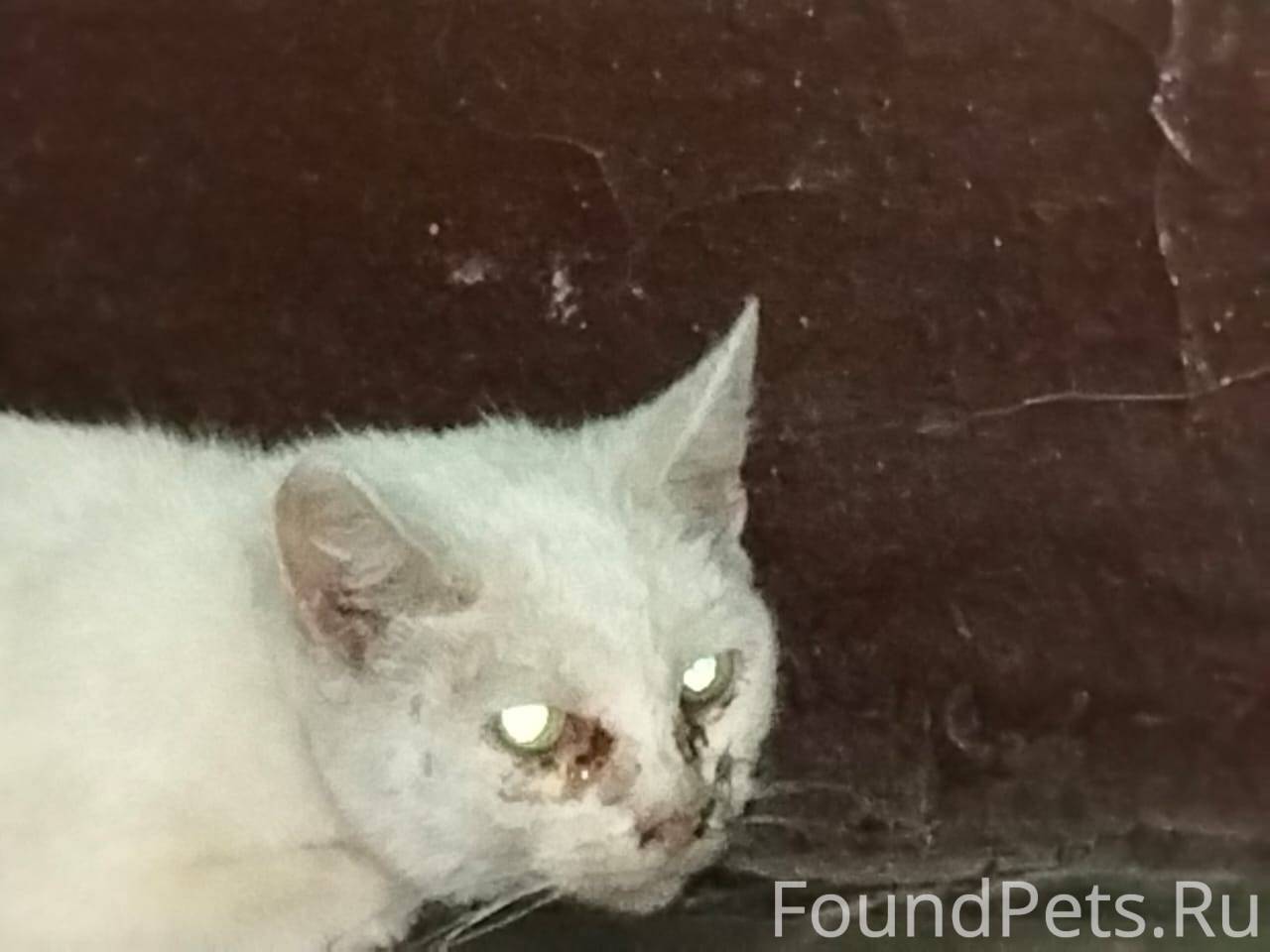 Срочно, сегодня найдена ещё од...