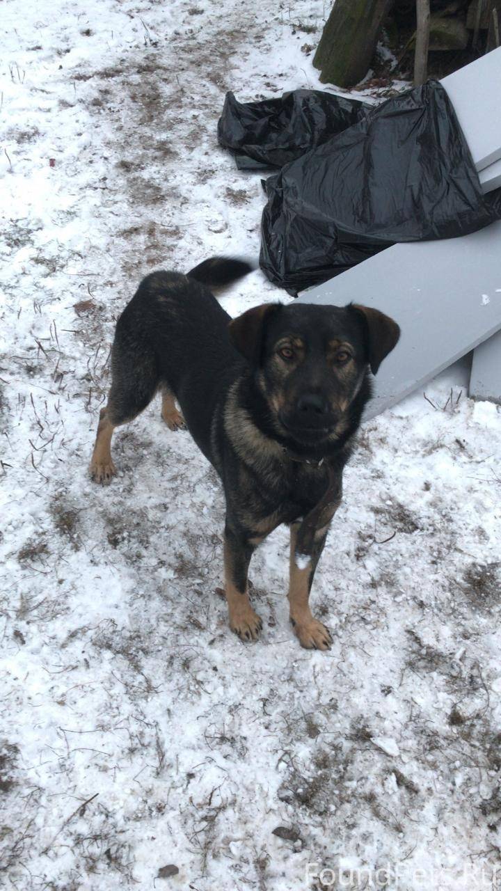 🙏Нашедшим обязательное вознагр...