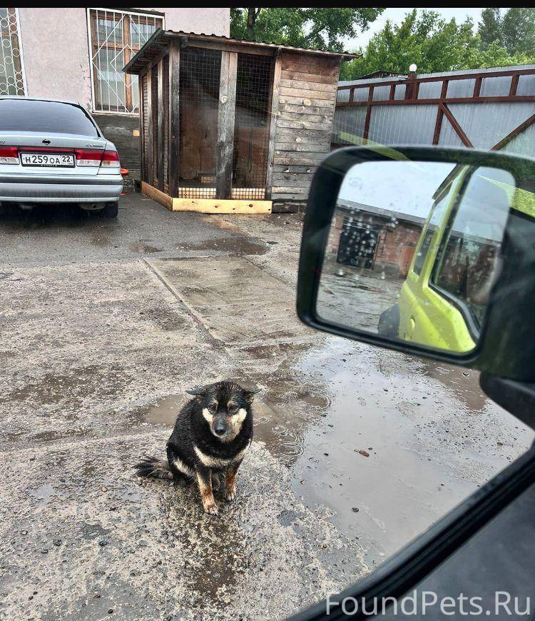 За вознаграждения 50000 р.