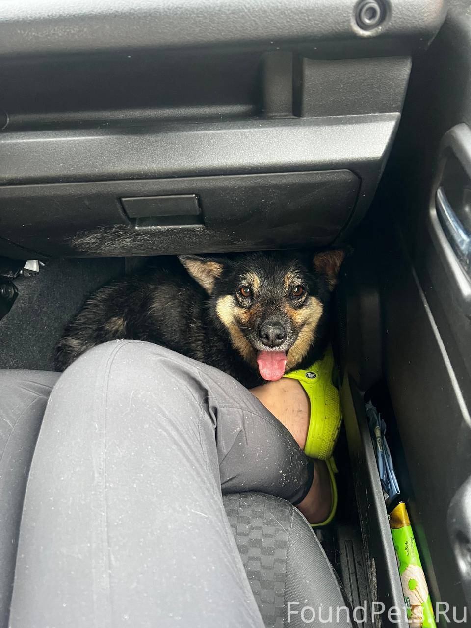 За вознаграждения 50000 р.