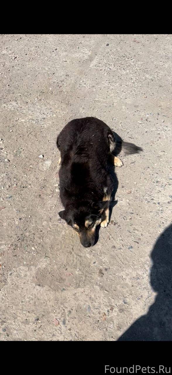 За вознаграждения 50000 р.