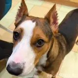Фото 1