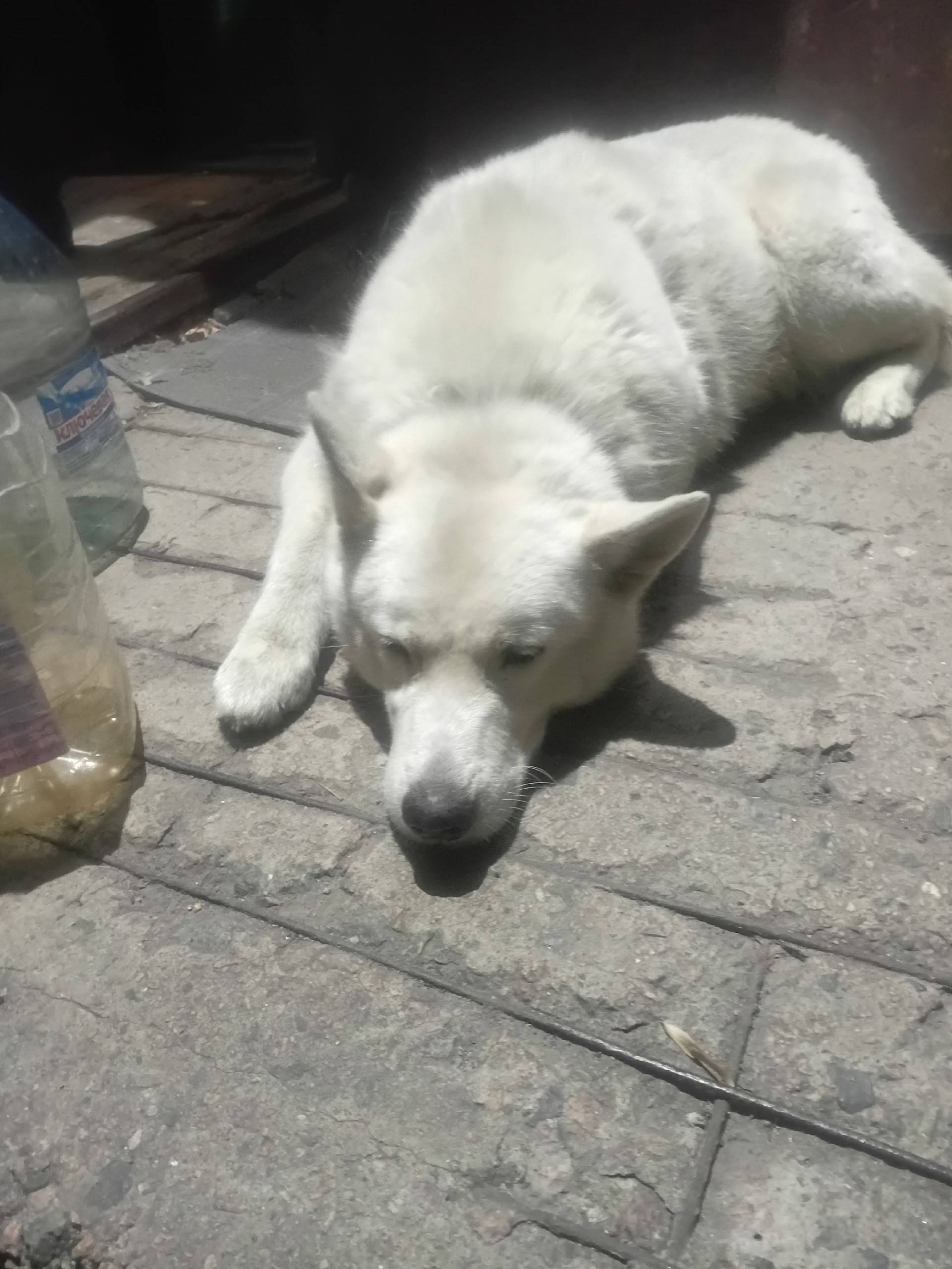 Фото 1