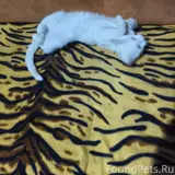 Фото 3