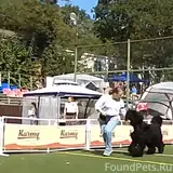 Фото 2