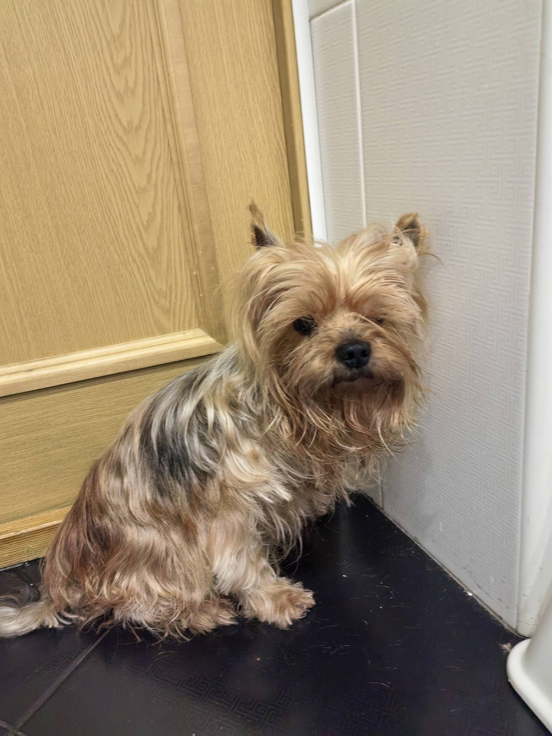 Фото 2