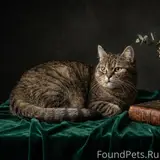 Фото 4