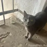 Фото 1