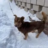 Фото 2