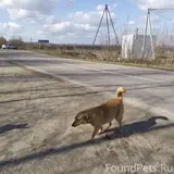 Фото 2